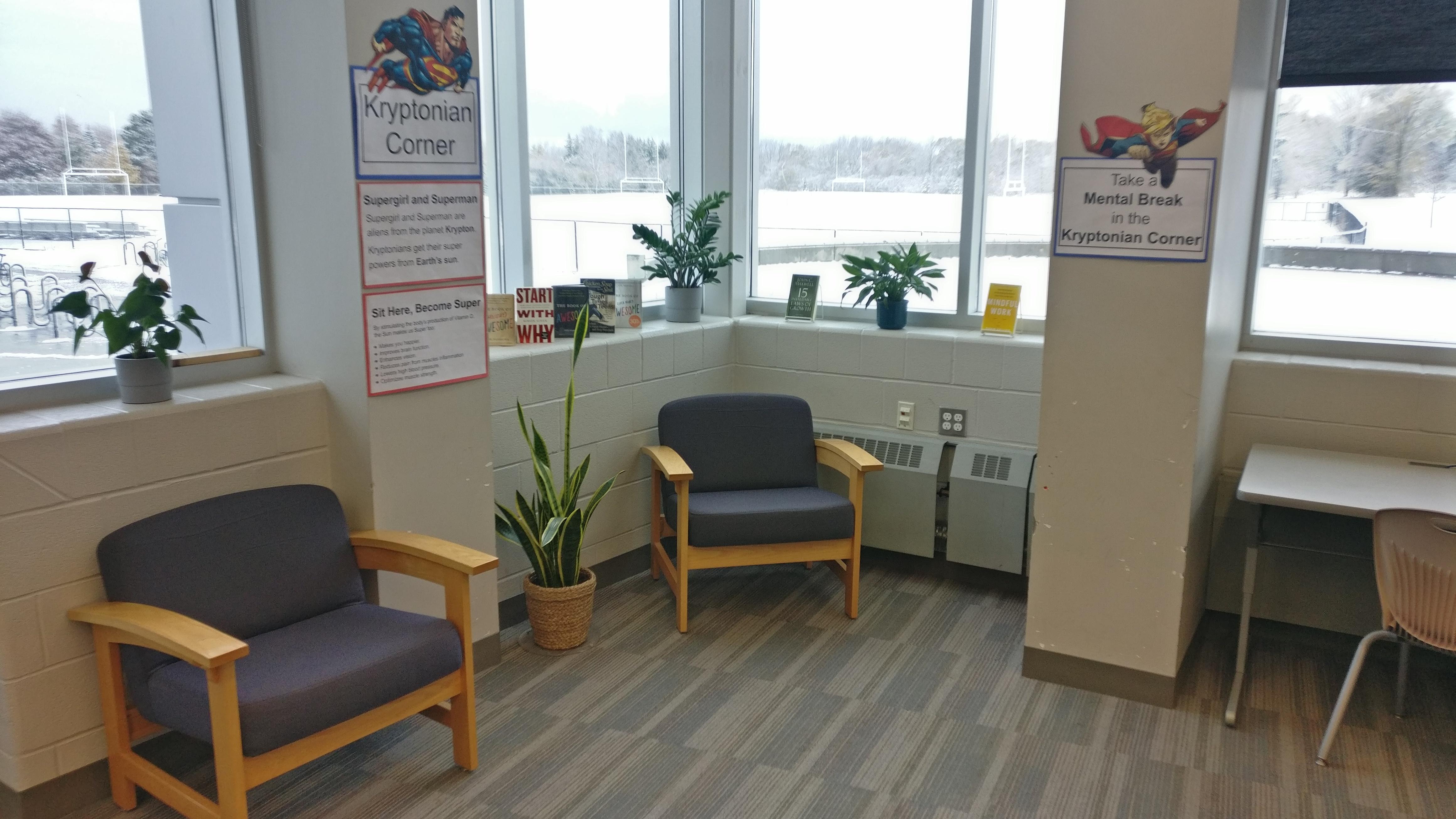 Padded chairs surrounded by windows, plants, and books.